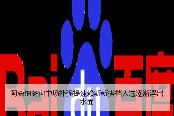 阿森纳冬窗中场补强提速赖斯新搭档人选逐渐浮出水面